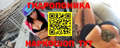 гашик Лесосибирск