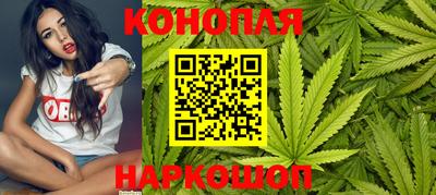 гашик Лесосибирск