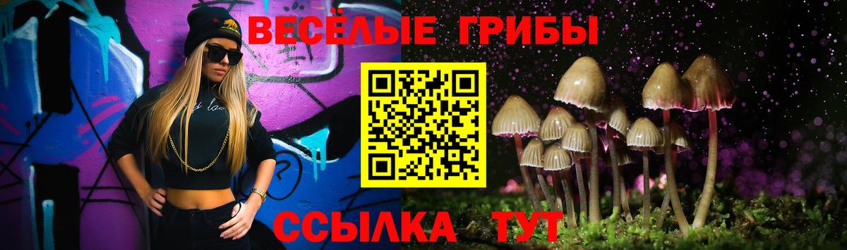 Псилоцибиновые грибы Psilocybe Кингисепп